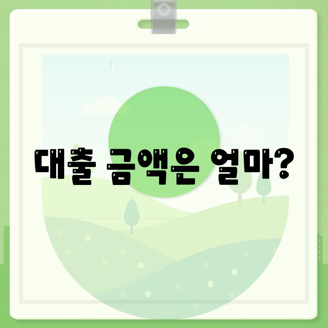 대출 금액은 얼마?