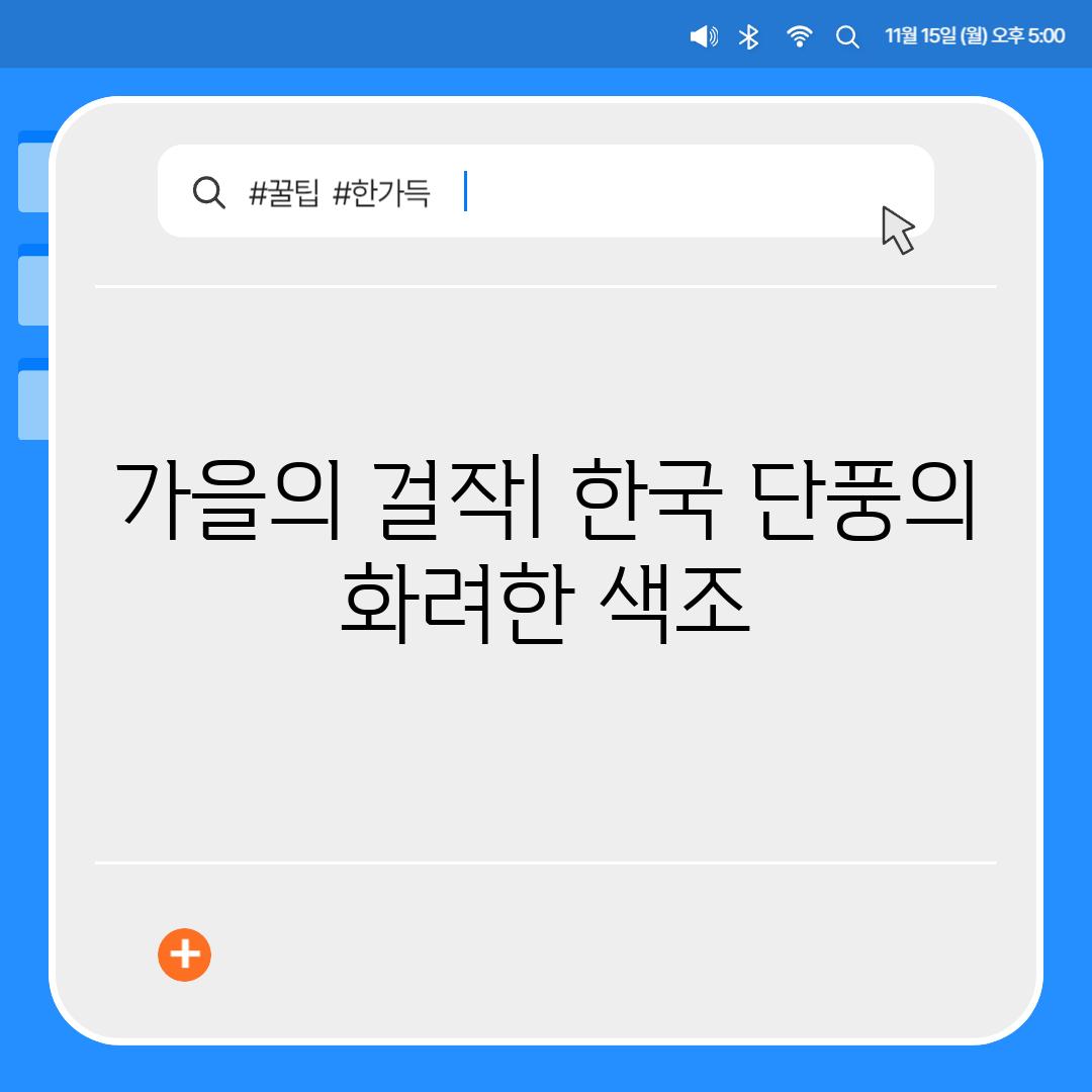 가을의 걸작| 한국 단풍의 화려한 색조