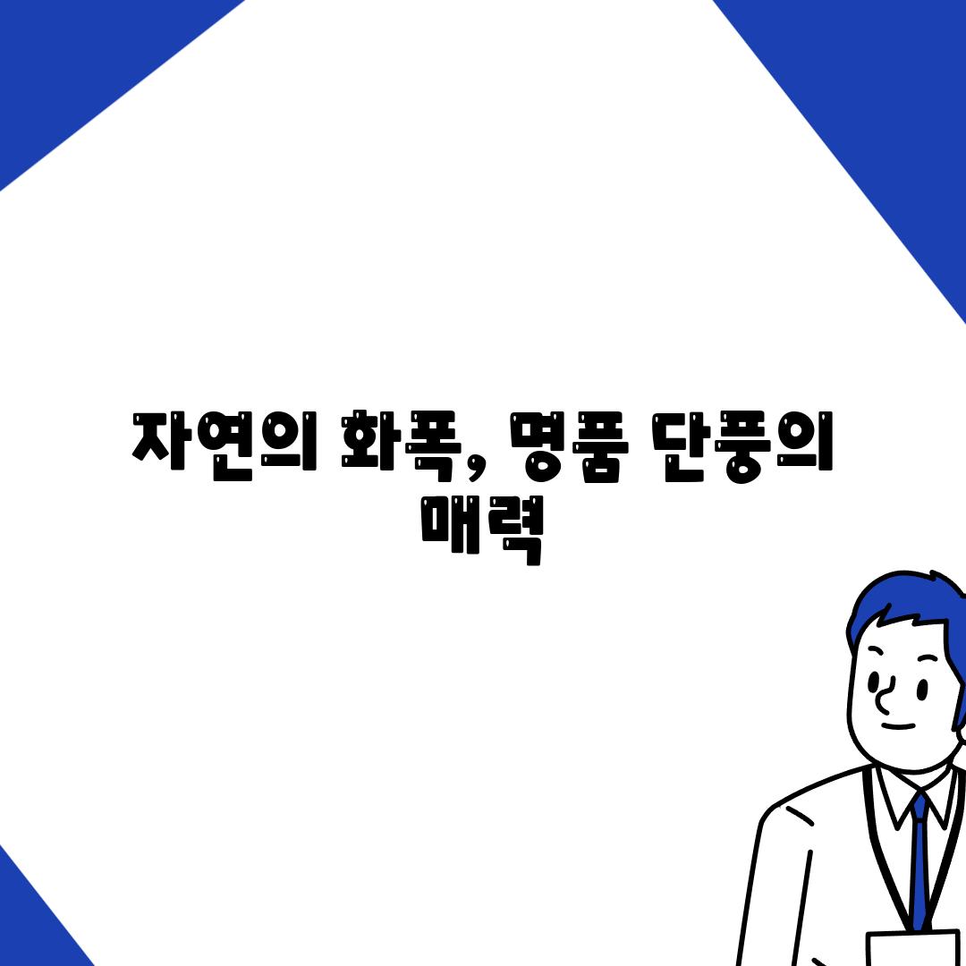 자연의 화폭, 명품 단풍의 매력