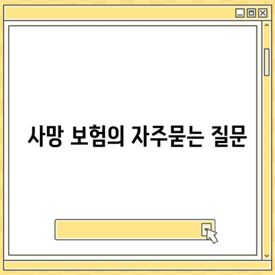 사망 보험