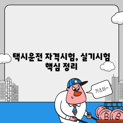 택시운전 자격시험