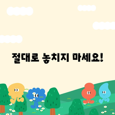 절대로 놓치지 마세요!