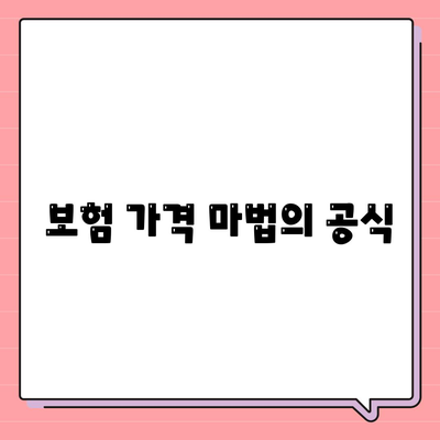 보험 가격 마법의 공식