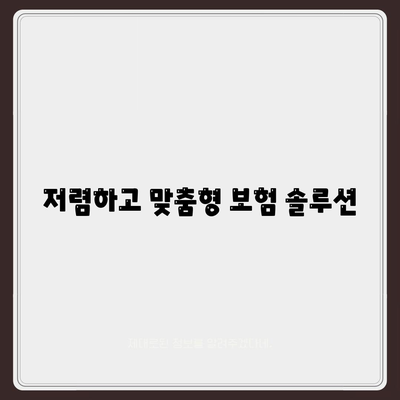 저렴하고 맞춤형 보험 솔루션