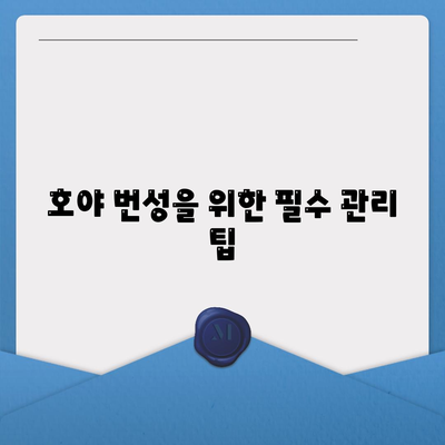 호야 번성을 위한 필수 관리 팁