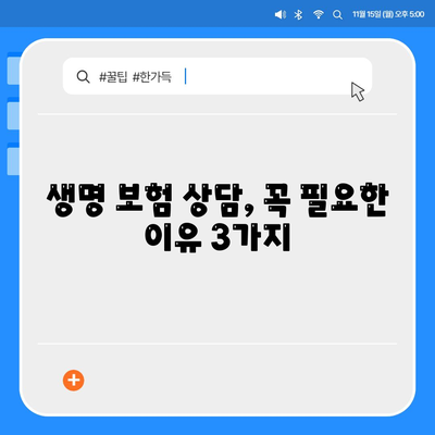 생명 보험 상담