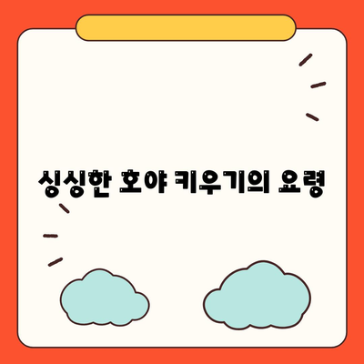 싱싱한 호야 키우기의 요령