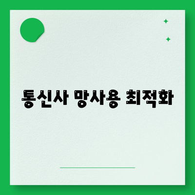 통신사 망사용 최적화