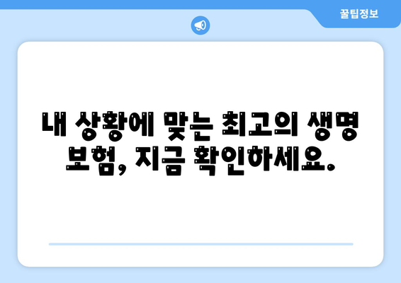 생명 보험 추천 순위