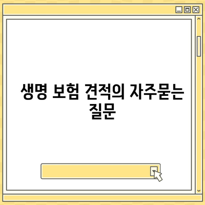 생명 보험 견적