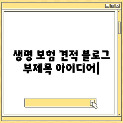 생명 보험 견적