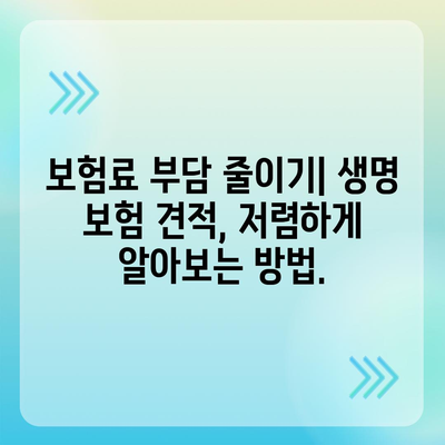 생명 보험 견적