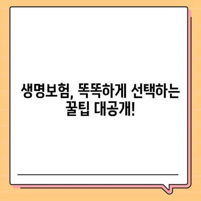 생명 보험 추천 순위