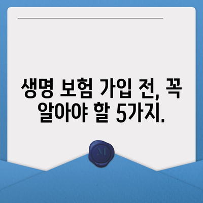 생명 보험 가이드