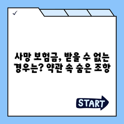 사망 보험 약관