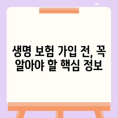 생명 보험 가이드