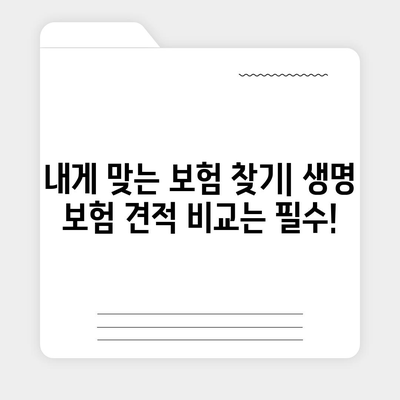 생명 보험 견적