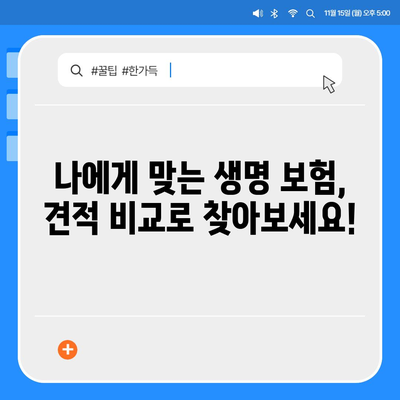 생명 보험 견적