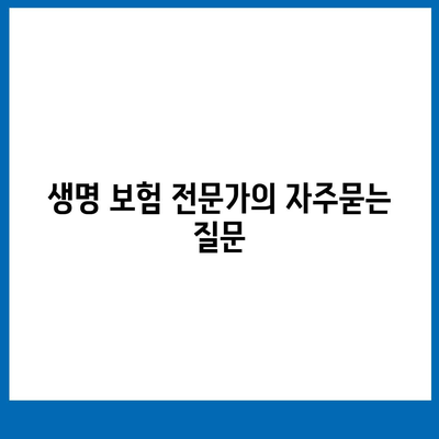 생명 보험 전문가