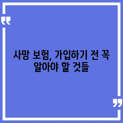 사망 보험 가이드