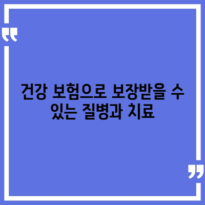 건강 보험 가이드