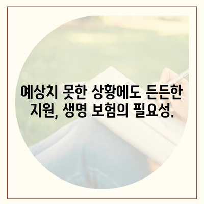 생명 보험 혜택