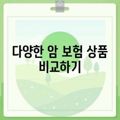 암 보험 비교 사이트