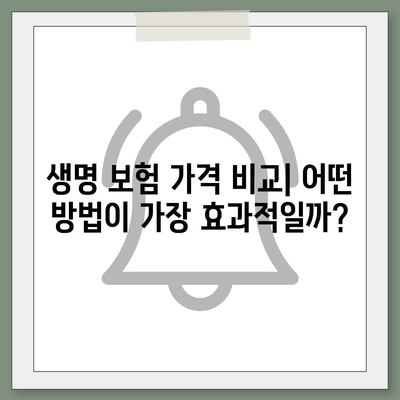 생명 보험 가격