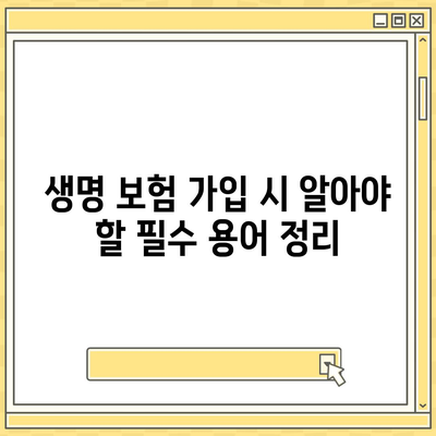 생명 보험 추천 순위