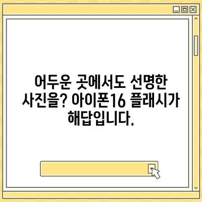 아이폰16 후면 카메라, 향상된 플래시로 저조도 사진에도 선명도 제공