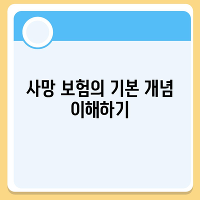 사망 보험 비교