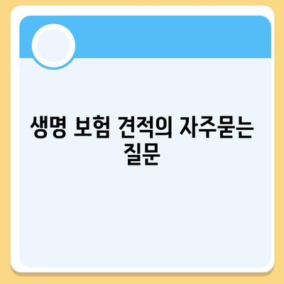 생명 보험 견적