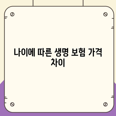 생명 보험 가격