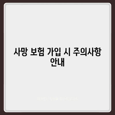 사망 보험 비교 사이트