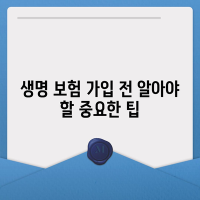 생명 보험 추천 순위