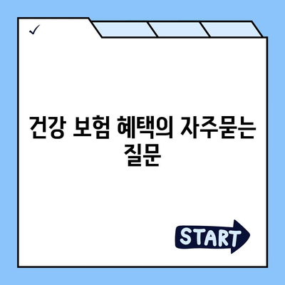 건강 보험 혜택