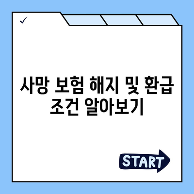 사망 보험