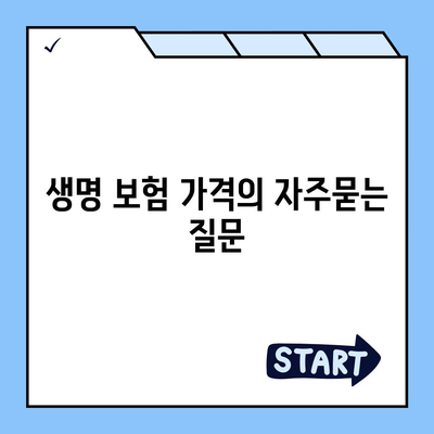 생명 보험 가격