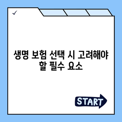 생명 보험 추천 순위