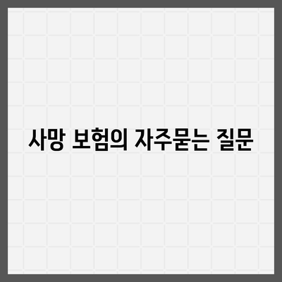 사망 보험