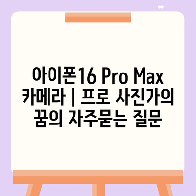 아이폰16 Pro Max 카메라 | 프로 사진가의 꿈