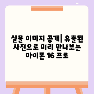 아이폰 16 프로의 디자인, 출시일, 실물 이미지