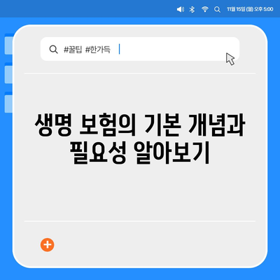 생명 보험