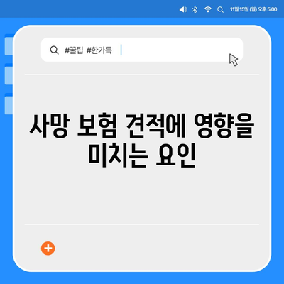 사망 보험 견적