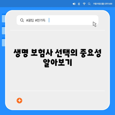 생명 보험사 추천