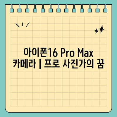 아이폰16 Pro Max 카메라 | 프로 사진가의 꿈