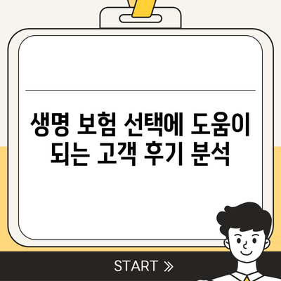 생명 보험 비교