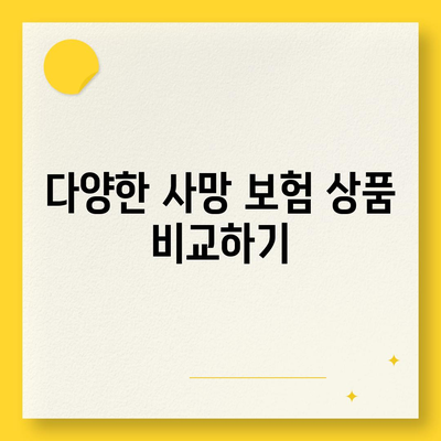 사망 보험 견적