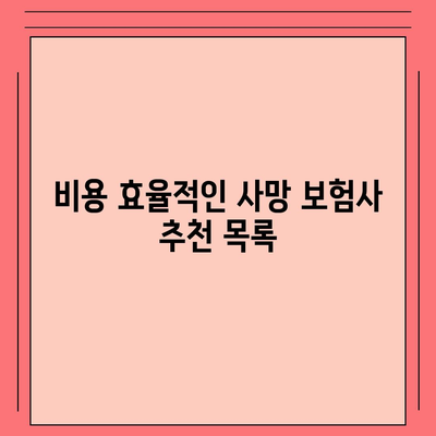 사망 보험사 추천