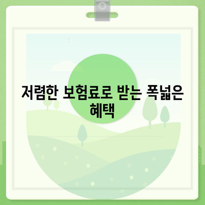 건강 종합 보험의 저렴하고 폭넓은 보장